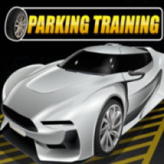 Parking Training